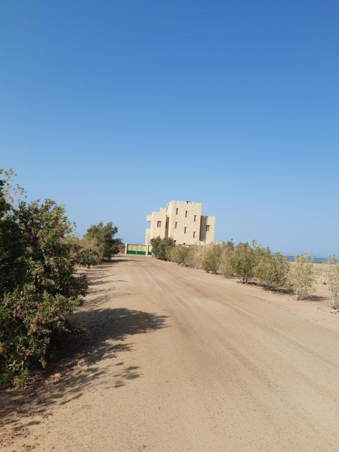 Coral Paradise * סאפגה